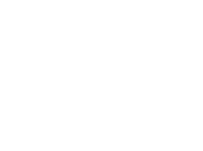 Fisch_sucht_Fahrrad_Party